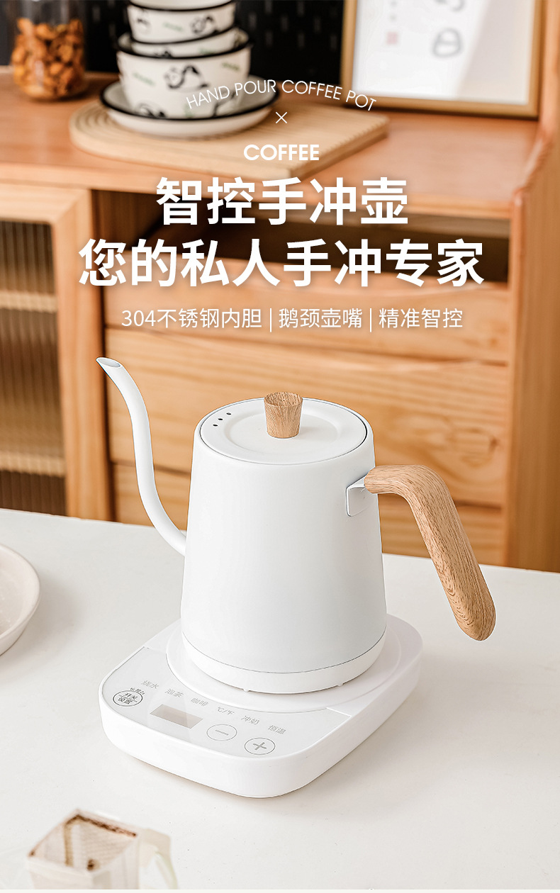 스테인리스 스틸 소형 온도 조절 전기 구스넥 주전자 ( - Pour Over Kettle 리뷰 및 가격
